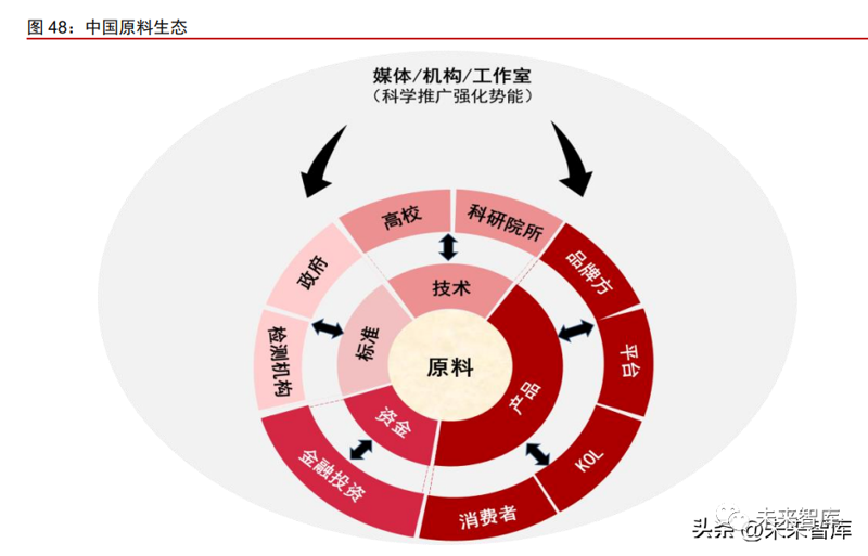 汉中农业开发:现代农业发展的新引擎