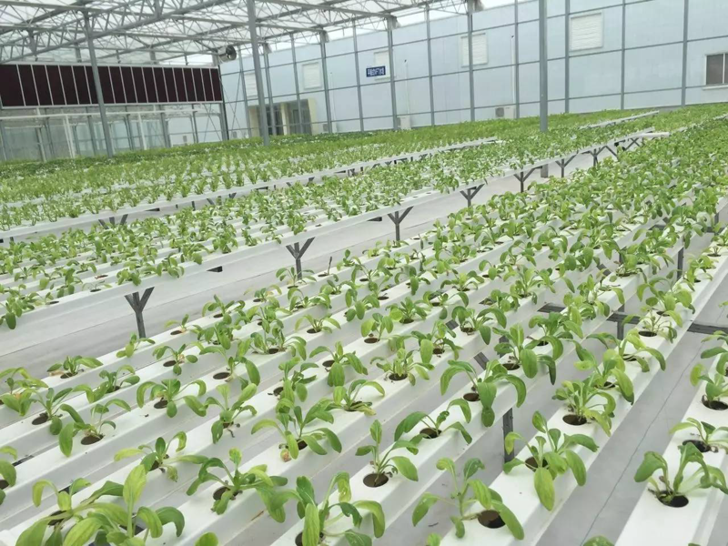 农业科技风起云涌:推动农业变革的新动能